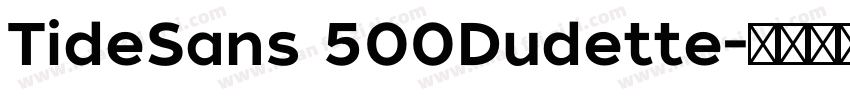 TideSans 500Dudette字体转换